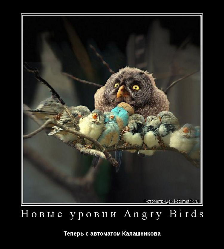 Новые уровни Angry Birds Теперь с автоматом Калашникова... Котоматрица: Новые уровни Angry Birds Теперь с автоматом Калашникова