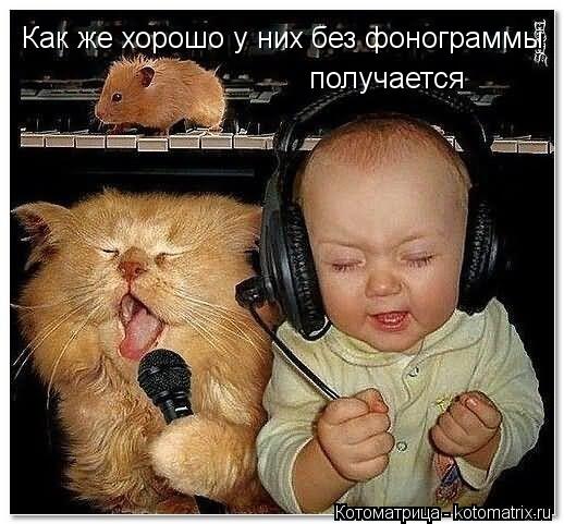 Как же хорошо у них без фонограммы получается... Котоматрица: Как же хорошо у них без фонограммы получается