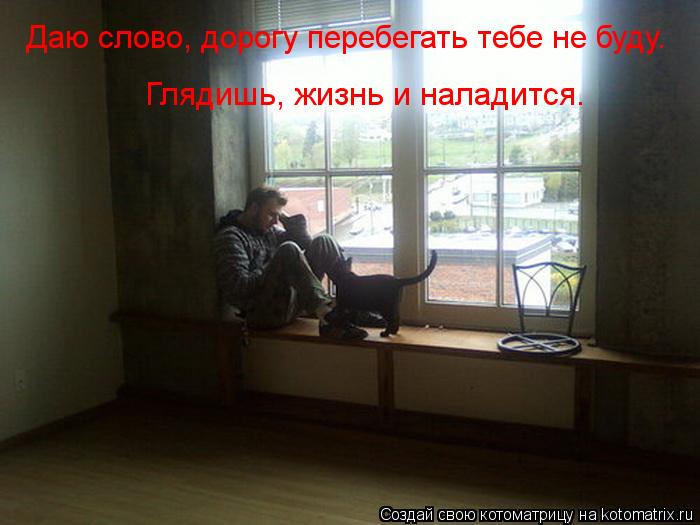 Даю слово, дорогу перебегать тебе не буду. Глядишь, жизнь и наладится.... Котоматрица: Даю слово, дорогу перебегать тебе не буду. Глядишь, жизнь и наладится.