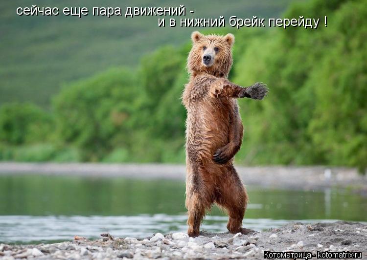 сейчас еще пара движений - и в нижний брейк перейду !... Котоматрица: сейчас еще пара движений - и в нижний брейк перейду !
