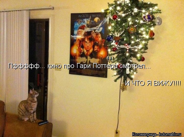 Пффффф... кино про Гари Поттера смотрел... И ЧТО Я ВИЖУ!!!!... Котоматрица: Пффффф... кино про Гари Поттера смотрел... И ЧТО Я ВИЖУ!!!!