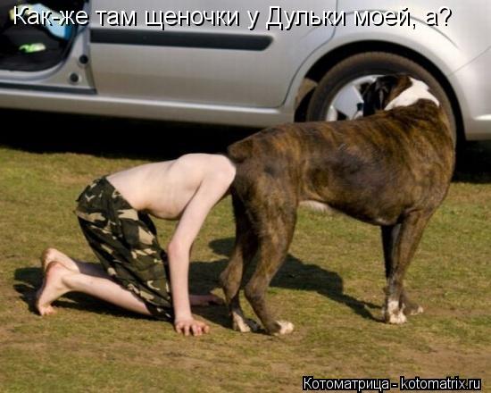 Как-же там щеночки у Дульки моей, а?... Котоматрица: Как-же там щеночки у Дульки моей, а?