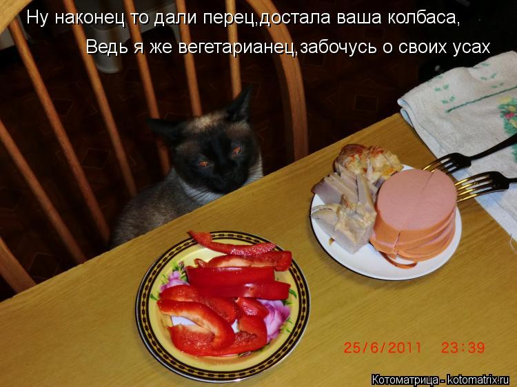 Ну наконец то дали перец,достала ваша колбаса, Ведь я же вегетарианец,забочусь о своих усах... Котоматрица: Ну наконец то дали перец,достала ваша колбаса, Ведь я же вегетарианец,забочусь о своих усах