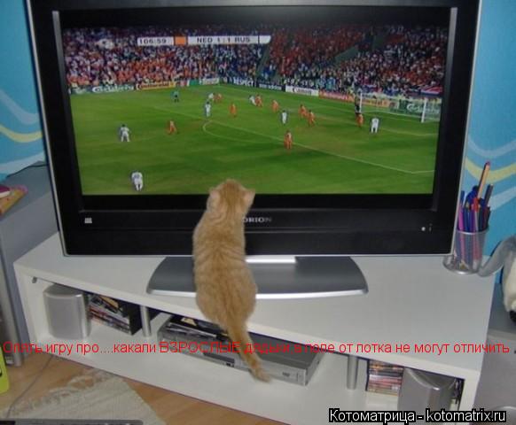 Опять игру про....какали ВЗРОСЛЫЕ дядьки,а поле от лотка не могут отличить Опять игру про....какали В... Котоматрица: Опять игру про....какали ВЗРОСЛЫЕ дядьки,а поле от лотка не могут отличить Опять игру про....какали ВЗРОСЛЫЕ дядьки,а поле от лотка не могут от