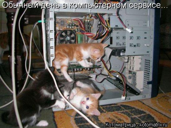 Обычный день в компьютерном сервисе…... Котоматрица: Обычный день в компьютерном сервисе…
