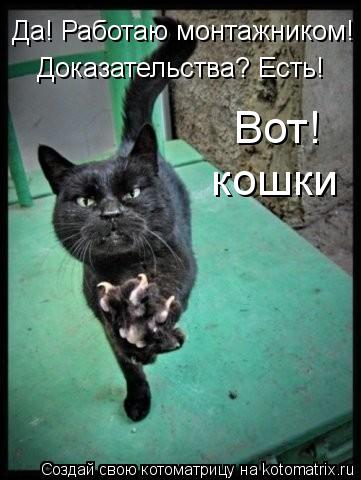 Да! Работаю монтажником! Доказательства? Есть! Вот! кошки кошки... Котоматрица: Да! Работаю монтажником! Доказательства? Есть! Вот! кошки кошки