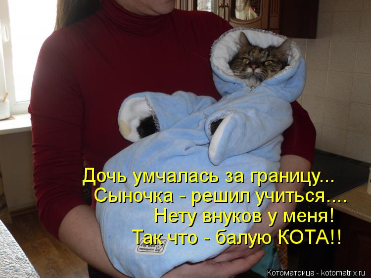 Так что - балую КОТА!! Нету внуков у меня! Сыночка - решил учиться.... Дочь умчалась за границу...... Котоматрица: Так что - балую КОТА!! Нету внуков у меня! Сыночка - решил учиться.... Дочь умчалась за границу...