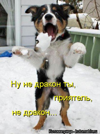 Ну не дракон ты, приятель, не дракон...... Котоматрица: Ну не дракон ты, приятель, не дракон...