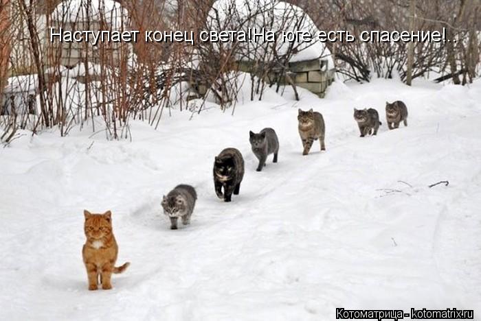 Наступает конец света!На юге есть спасение!..... Котоматрица: Наступает конец света!На юге есть спасение!..
