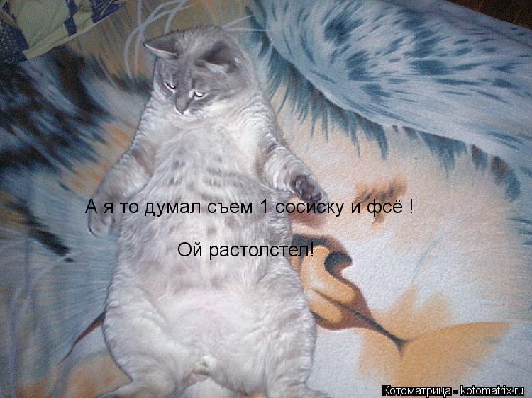 А я то думал съем 1 сосиску и фсё ! Ой растолстел!... Котоматрица: А я то думал съем 1 сосиску и фсё ! Ой растолстел!