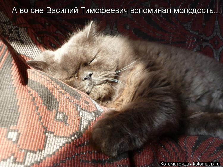 А во сне Василий Тимофеевич вспоминал молодость...... Котоматрица: А во сне Василий Тимофеевич вспоминал молодость...