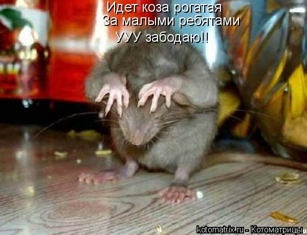 Идет коза рогатая За малыми ребятами УУУ забодаю!!... Котоматрица: Идет коза рогатая За малыми ребятами УУУ забодаю!!