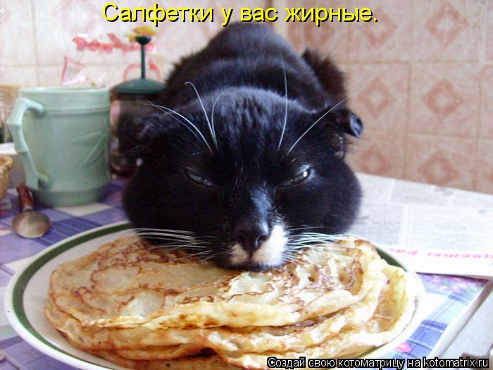 Салфетки у вас жирные.... Котоматрица: Салфетки у вас жирные.