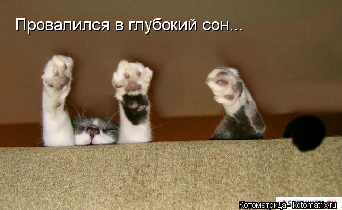 Провалился в глубокий сон...... Котоматрица: Провалился в глубокий сон...