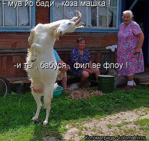- мув йо бади , коза машка ! -и ты , бабуся , фил ве флоу !... Котоматрица: - мув йо бади , коза машка ! -и ты , бабуся , фил ве флоу !