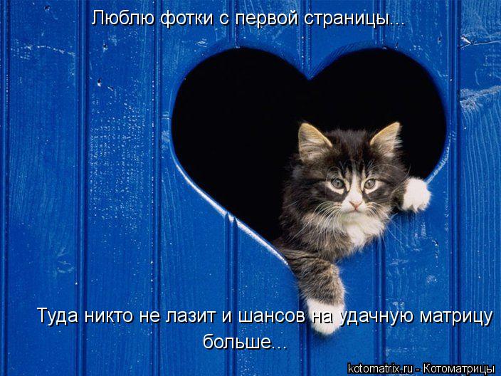 Люблю фотки с первой страницы... Туда никто не лазит и шансов на удачную матрицу больше...... Котоматрица: Люблю фотки с первой страницы... Туда никто не лазит и шансов на удачную матрицу больше...