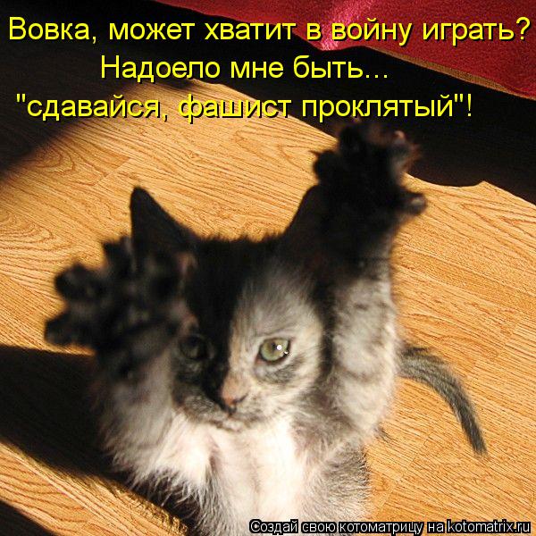 Вовка, может хватит в войну играть? Надоело мне быть... "сдавайся, фашист проклятый"!... Котоматрица: Вовка, может хватит в войну играть? Надоело мне быть... "сдавайся, фашист проклятый"!