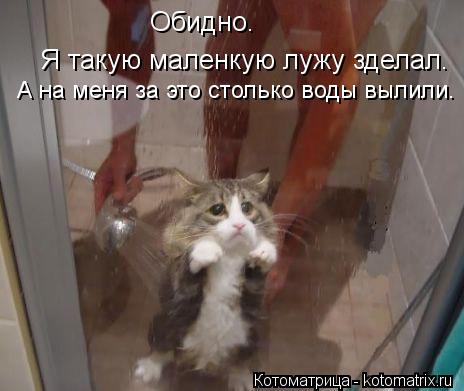 Обидно. Я такую маленкую лужу зделал. А на меня за это столько воды вылили.... Котоматрица: Обидно. Я такую маленкую лужу зделал. А на меня за это столько воды вылили.
