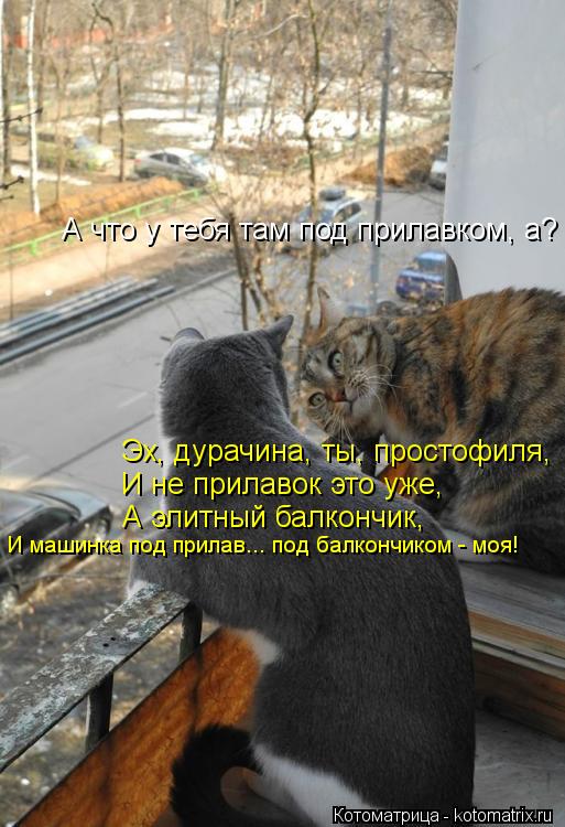 А что у тебя там под прилавком, а? Эх, дурачина, ты, простофиля, И не прилавок это уже, А элитный бал... Котоматрица: А что у тебя там под прилавком, а? Эх, дурачина, ты, простофиля, И не прилавок это уже, А элитный балкончик, И машинка под прилав... под балкончи