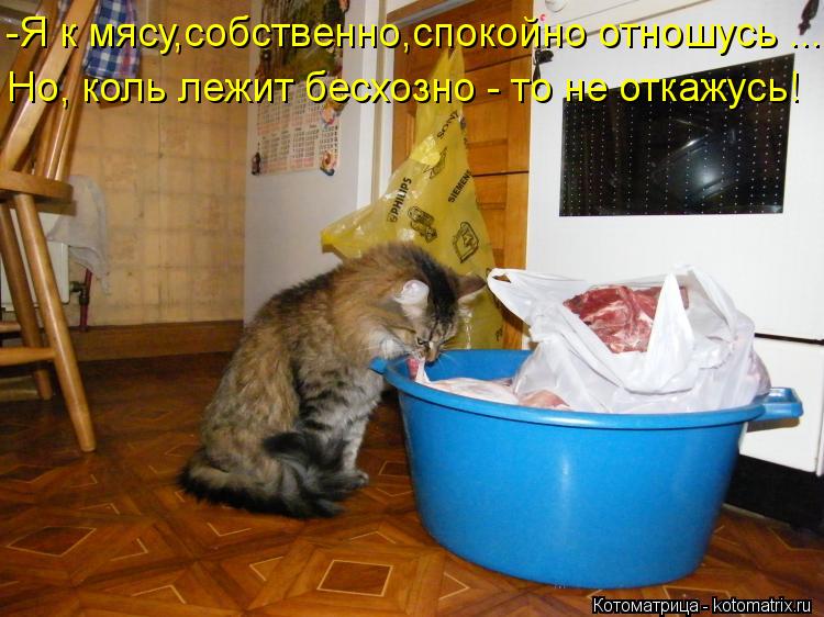 -Я к мясу,собственно,спокойно отношусь .... Но, коль лежит бесхозно - то не откажусь!... Котоматрица: -Я к мясу,собственно,спокойно отношусь .... Но, коль лежит бесхозно - то не откажусь!