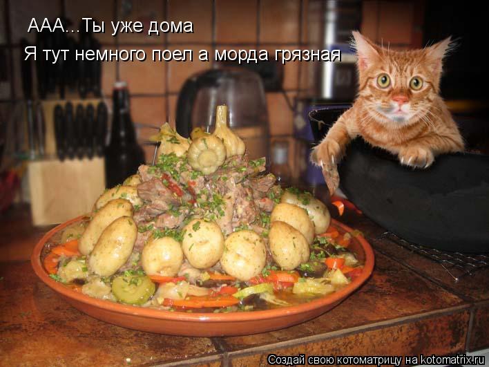 ААА...Ты уже дома Я тут немного поел а морда грязная... Котоматрица: ААА...Ты уже дома Я тут немного поел а морда грязная