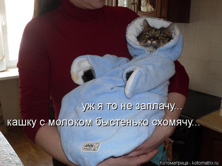 уж я то не заплачу... кашку с молоком быстенько схомячу...... Котоматрица: уж я то не заплачу... кашку с молоком быстенько схомячу...