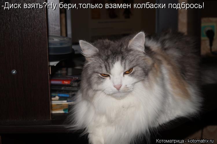 -Диск взять?Ну бери,только взамен колбаски подбрось!... Котоматрица: -Диск взять?Ну бери,только взамен колбаски подбрось!