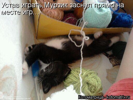 Устав играть,Мурзик заснул прямо на месте игр...... Котоматрица: Устав играть,Мурзик заснул прямо на месте игр...