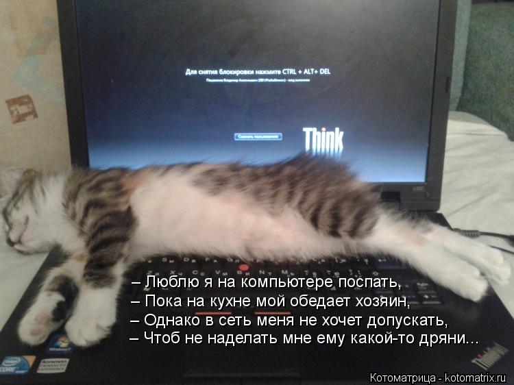 – Люблю я на компьютере поспать, – Пока на кухне мой обедает хозяин, – Однако в сеть меня не хочет до... Котоматрица: – Люблю я на компьютере поспать, – Пока на кухне мой обедает хозяин, – Однако в сеть меня не хочет допускать, – Чтоб не наделать мне ему как