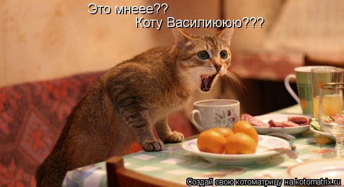Это мнеее?? Коту Василиююю???... Котоматрица: Это мнеее?? Коту Василиююю???