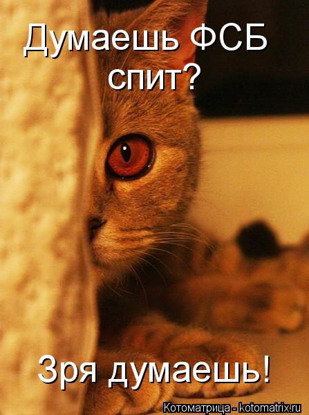 Думаешь ФСБ спит? Зря думаешь!... Котоматрица: Думаешь ФСБ спит? Зря думаешь!