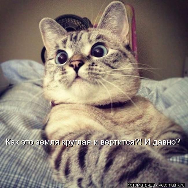 Как это земля круглая и вертится?! И давно?... Котоматрица: Как это земля круглая и вертится?! И давно?