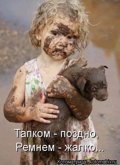 Тапком - поздно, Ремнем - жалко...... Котоматрица: Тапком - поздно, Ремнем - жалко...