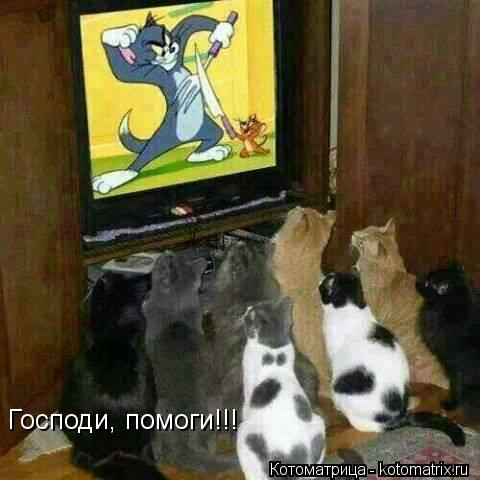 Господи, помоги!!!... Котоматрица: Господи, помоги!!!