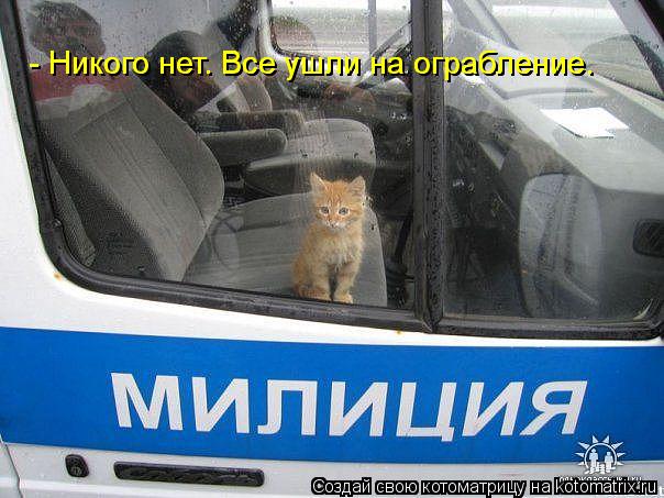 - Никого нет. Все ушли на ограбление. - Никого нет. Все ушли на ограбление.... Котоматрица: - Никого нет. Все ушли на ограбление. - Никого нет. Все ушли на ограбление.