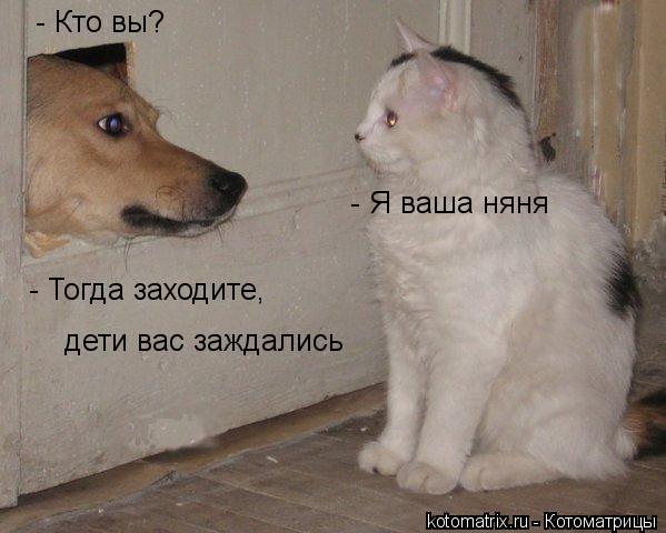 - Кто вы? - Я ваша няня - Тогда заходите, дети вас заждались... Котоматрица: - Кто вы? - Я ваша няня - Тогда заходите, дети вас заждались