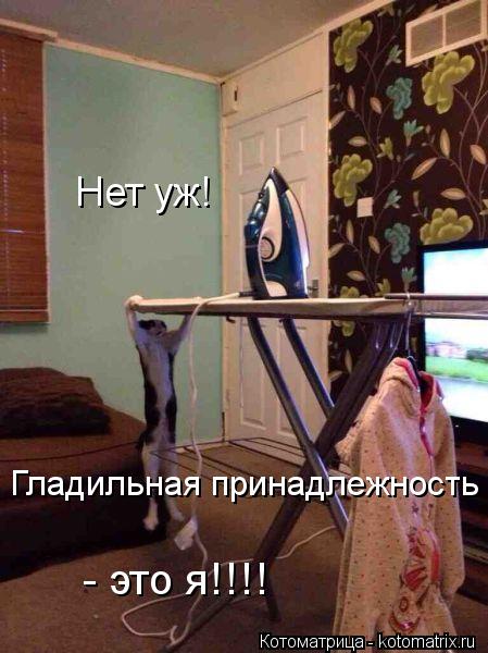 Нет уж! Гладильная принадлежность - это я!!!!... Котоматрица: Нет уж! Гладильная принадлежность - это я!!!!