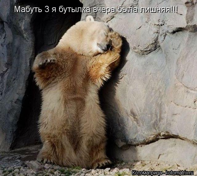 Мабуть 3 я бутылка вчера была лишняя!!!... Котоматрица: Мабуть 3 я бутылка вчера была лишняя!!!