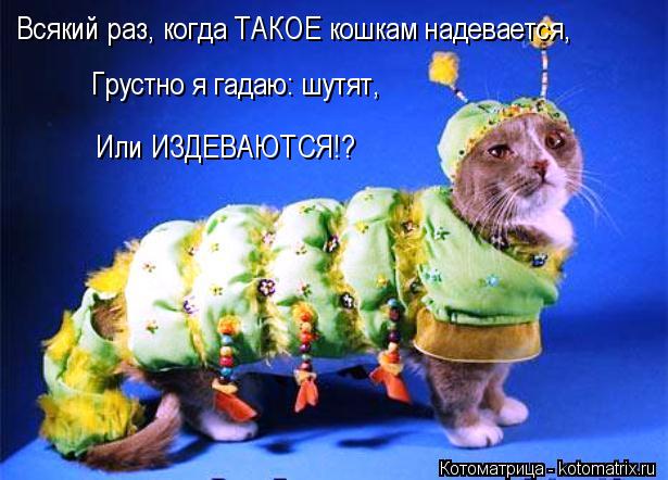 Всякий раз, когда ТАКОЕ кошкам надевается, Грустно я гадаю: шутят, Или ИЗДЕВАЮТСЯ!?... Котоматрица: Всякий раз, когда ТАКОЕ кошкам надевается, Грустно я гадаю: шутят, Или ИЗДЕВАЮТСЯ!?