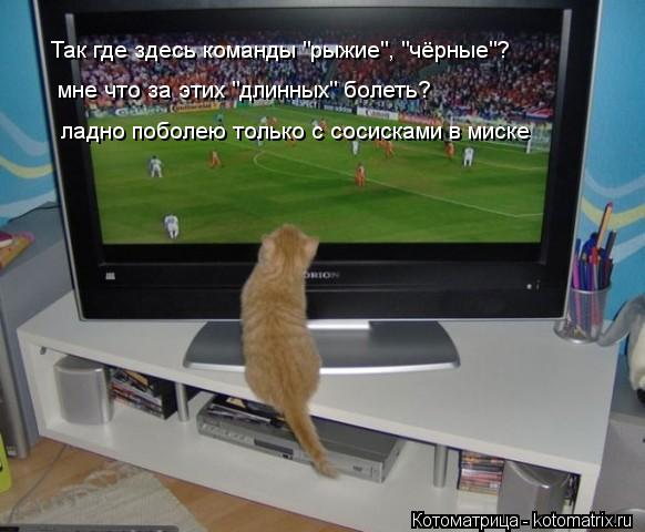 Так где здесь команды "рыжие", "чёрные"? мне что за этих "длинных" болеть? ладно поболею только с сос... Котоматрица: Так где здесь команды "рыжие", "чёрные"? мне что за этих "длинных" болеть? ладно поболею только с сосисками в миске