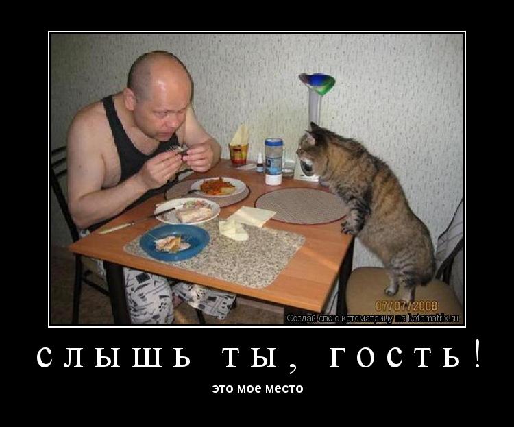 слышь ты, гость! это мое место... Котоматрица: слышь ты, гость! это мое место