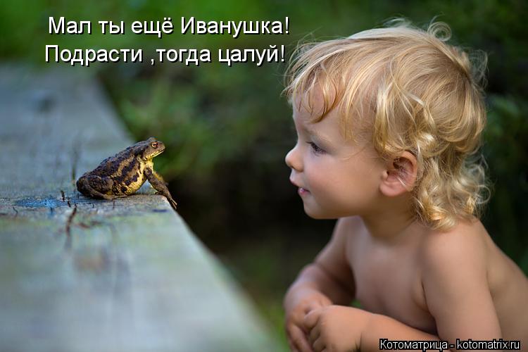 Мал ты ещё Иванушка! Подрасти ,тогда цалуй!... Котоматрица: Мал ты ещё Иванушка! Подрасти ,тогда цалуй!