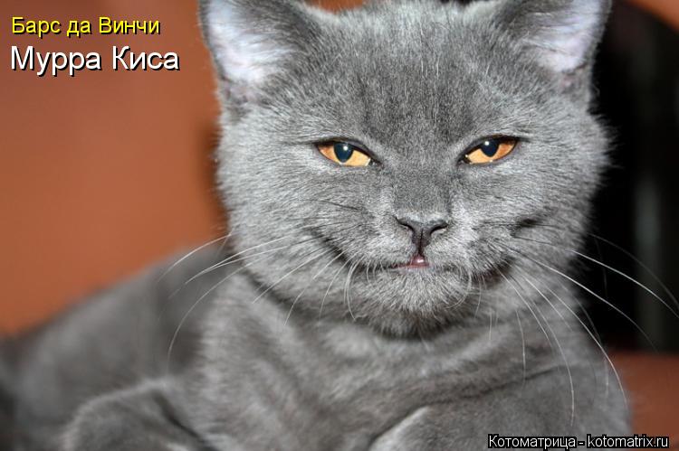 Барс да Винчи Мурра Киса... Котоматрица: Барс да Винчи Мурра Киса