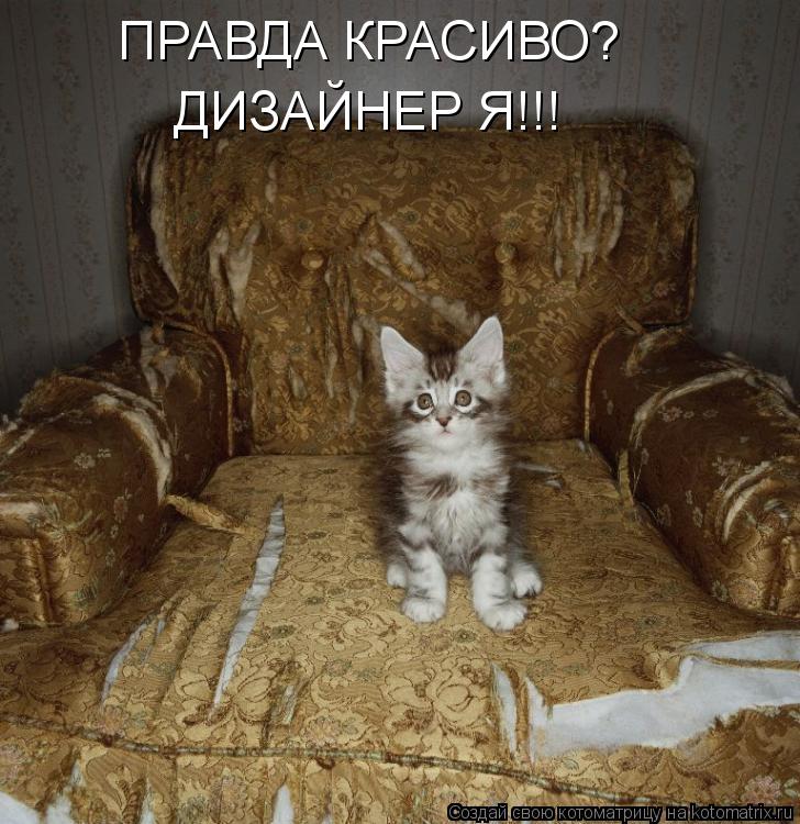 ПРАВДА КРАСИВО? ДИЗАЙНЕР Я!!!... Котоматрица: ПРАВДА КРАСИВО? ДИЗАЙНЕР Я!!!