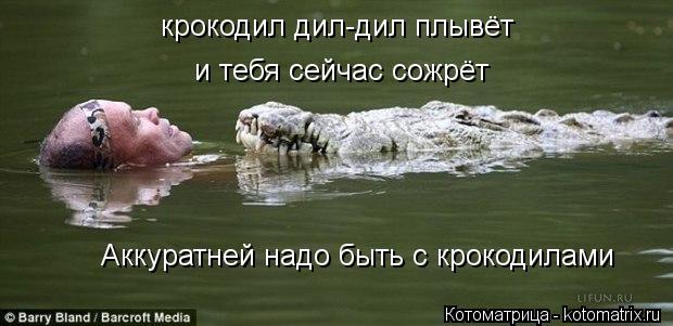 крокодил дил-дил плывёт и тебя сейчас сожрёт Аккуратней надо быть с крокодилами... Котоматрица: крокодил дил-дил плывёт и тебя сейчас сожрёт Аккуратней надо быть с крокодилами