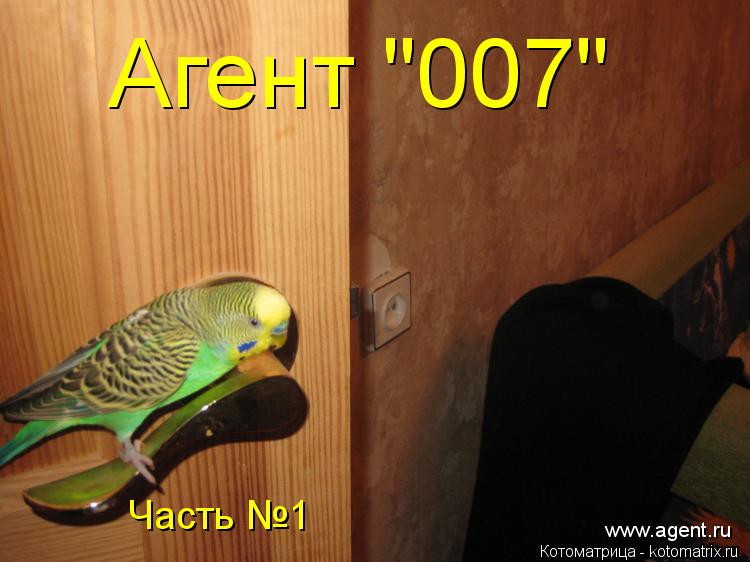 Котоматрица: Агент "007" Часть №1 www.agent.ru