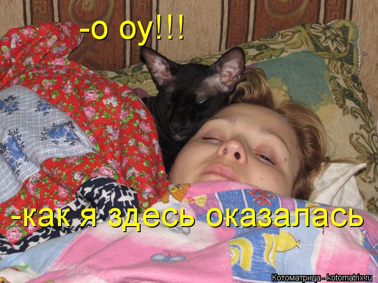 -как я здесь оказалась -о оу!!! -о оу!!!... Котоматрица: -как я здесь оказалась -о оу!!! -о оу!!!