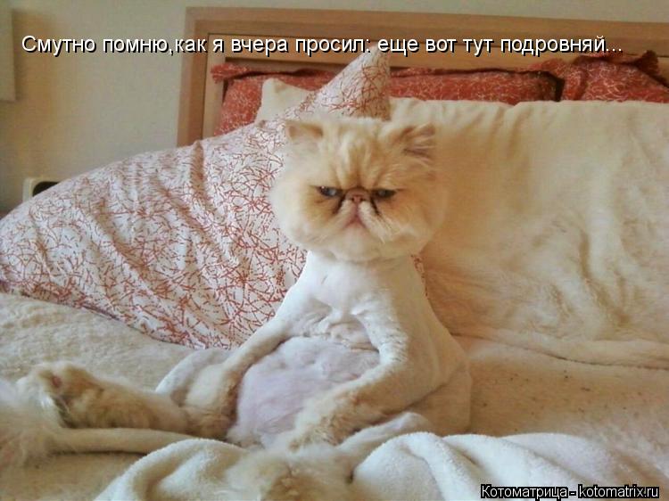 Смутно помню,как я вчера просил: еще вот тут подровняй...... Котоматрица: Смутно помню,как я вчера просил: еще вот тут подровняй...