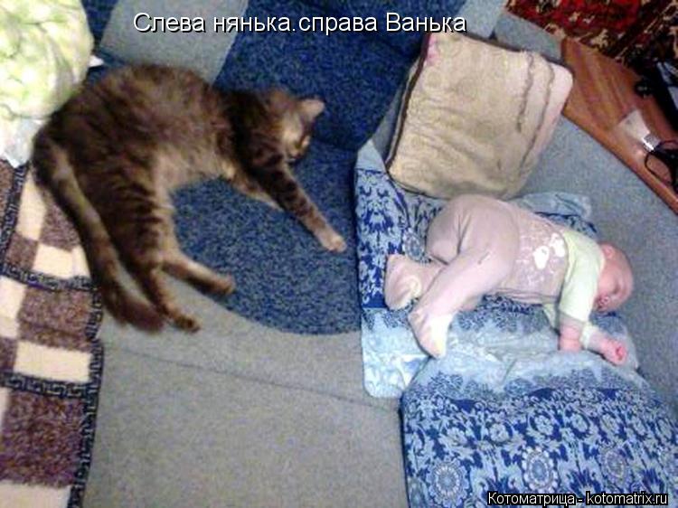 Слева нянька.справа Ванька... Котоматрица: Слева нянька.справа Ванька