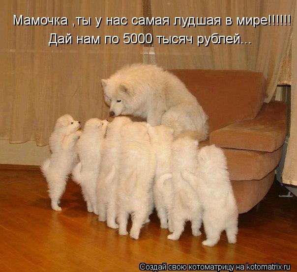 Мамочка ,ты у нас самая лудшая в мире!!!!!! Дай нам по 5000 тысяч рублей...... Котоматрица: Мамочка ,ты у нас самая лудшая в мире!!!!!! Дай нам по 5000 тысяч рублей...